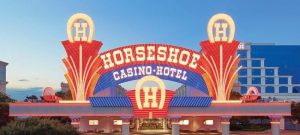 horseshoe45